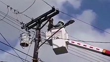巴拿马：消防员坐起重机救下被困电线杆上的树懒