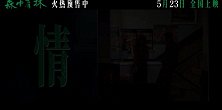 《森中有林》今日发布东北情义特辑