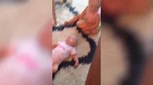 妈妈给了双胞胎婴儿一个安抚奶嘴，接下来宝宝的反应太可爱了
