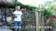 四川农村,幺妹儿和妈妈又种上了一大片青菜,明年的盐菜不愁了