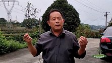 藏花阁桂花树，为什么要叫藏花阁？老杨师傅告诉你命名原因