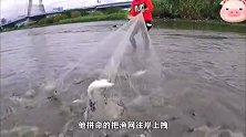 河边发出异响，小哥果断撒网捕鱼，没想到第一网就收获几百条