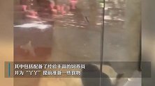网友前往孟菲斯动物园看望丫丫，隔着玻璃陪伴：今天吃了好多竹子