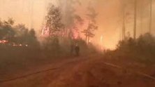 俄罗斯多处爆发山火 消防员：火焰冲到三四十米