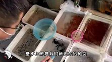 国内最大花鸟鱼虫市场最后记录，去一次少一次，给养鱼爱好者留念