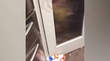 宝宝偷吃零食被发现，直接将门给关上了，真是太搞笑了！