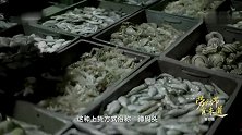 味道：为了拿到第一手海鲜，老板娘大半夜就出发到码头蹲守！