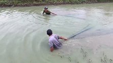 拉网捕鱼：池中霸主疯狂闹腾，拉上一看，原来是一条近百斤的大鱼
