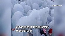 3米高50米宽！金佛山再现绝美冰瀑奇观：宛若大山里的冰雪奇缘
