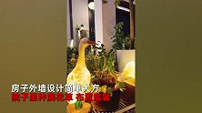 女子花94万在农村建400平独栋，花园式庭院，简单大气百看不腻