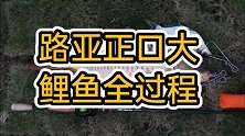 路亚正口大鲤鱼全过程，鲤鱼的耐力还真不错，你有机会一定要试试