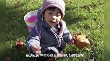 幼儿园只是帮忙带孩子?中国太多家长,缺少一个正确认识