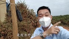 非洲工厂的网线又断了，还得找总统府的人上门维修，处理速度超快