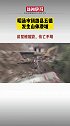 4月10日下午，云南省昭通市镇雄县发生山体滑坡。滑坡