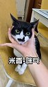 养猫狗千日 抓蟑螂一时啊！！！！