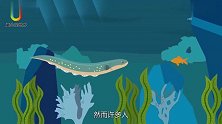 电鳗怕电吗将电鳗放进水中后通电，电鳗怂了