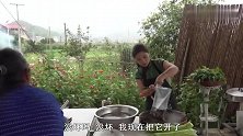 阿芝穿上小北买的旗袍，心情愉悦的做了顿海鲜，还和斌哥喝起了酒