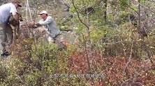 动物也懂知恩图报鹦鹉告别自己主人，画面令人泪目！