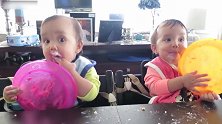 兄弟俩舔盘子上的奶油，吃完还想吃，真是有趣的一对双胞胎！