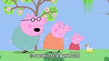 鸭子穿着佩奇的雨靴，跑起来真快，现在猪妈妈都追不上！