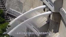 水坝太高鱼群跳不上去，人类帮忙修“鱼梯”，接下来的一幕傻眼了