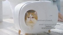 麻糬猫砂盆：让铲屎变得更容易