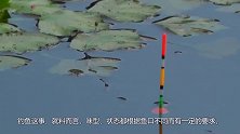 钓鱼：同一片水域人家连杆上鱼，自己却空空如也看完秒懂
