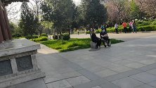 西安青龙寺樱花盛开人气爆棚，古城最著名樱花观赏地你还不去？