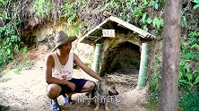 中华田园犬乔迁之喜，主人给狗狗做3菜一汤，住进豪华别墅，贼爽