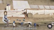 印度邮局卖恒河水，一瓶2.5元，越脏买的人越多