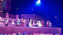 上海迪士尼五周年夜间庆典：【刘宇宁&张靓颖】现场演唱！惊现靓颖超强海豚音！迪士尼