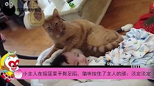 小主人在摇篮里高兴地手舞足蹈，猫咪按住了主人的腿：淡定淡定