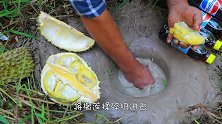 鱼会嫌榴莲臭吗男子用榴莲抓鱼，怎么感觉是把鱼熏出来的呢