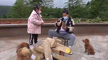 英子打算把院子周围种满鲜花，结果体力不支，只好叫来老爸帮忙