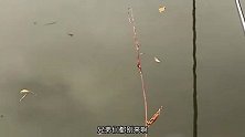 天天钓不到鱼，是有原因的