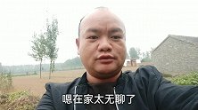 光棍大叔在农村的生活，今天阴天，下小雨了，没去跑外卖，来田里