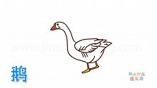 动物简笔画大全，画写实的大鹅简笔画