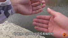 这样钓鲢鳙，来口必中鱼，一只都跑不掉，老板见了就愁