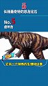 TOP10最奇怪的恐龙化石——NO·5