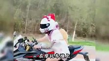 机车网红安安因车祸去世，终年16岁！连带另外一名网红双双身亡！