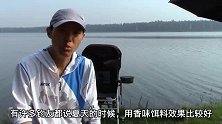 都说天热钓鱼用香味饵料效果好，真实鱼情到底怎么样？今天来试下