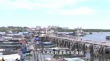 台风“小犬”或于今日夜间至明日白天登陆粤西琼东沿海