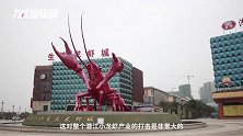 湖北小龙虾来咯！湖北快递恢复，将小龙虾送向全国人民