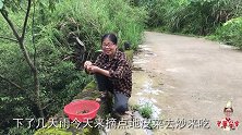 农村一种天然野味，只有下过雨才有，婆婆炒一碗下饭开胃很好吃