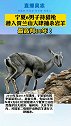 警示丨6男子多次潜入贺兰山猎杀岩羊，最高判了10年！
