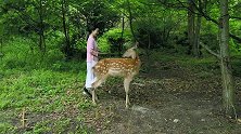鹿碗儿教你做韭菜豆腐干