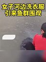 广东潮州：女子河边洗衣服 引来鱼群围观
