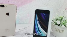 新iPhoneSE2诚意不足？苹果8P用户一句话，看完我都尴