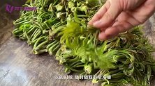 香椿芽如何存放？放个把月不成问题，看完长见识了
