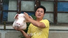 135元买个16斤大猪头，炖猪头不用大铁锅，这么做香而不腻